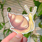 Snail Sticker: Brown