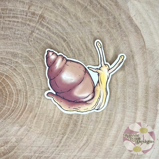 Snail Sticker: Brown